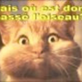 Avatar de l’utilisateur